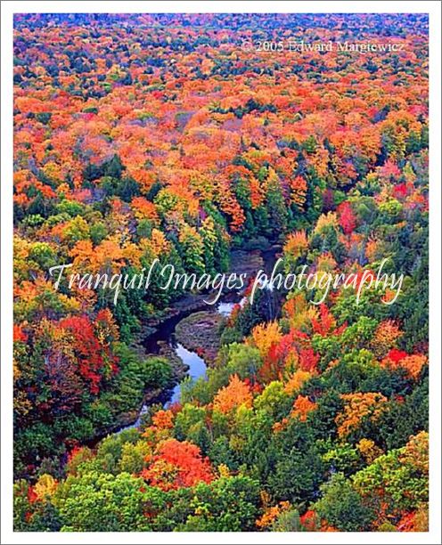 450218---Big Carp River and fall foliage, Porcupine Mountains Wilderness state park. View 1